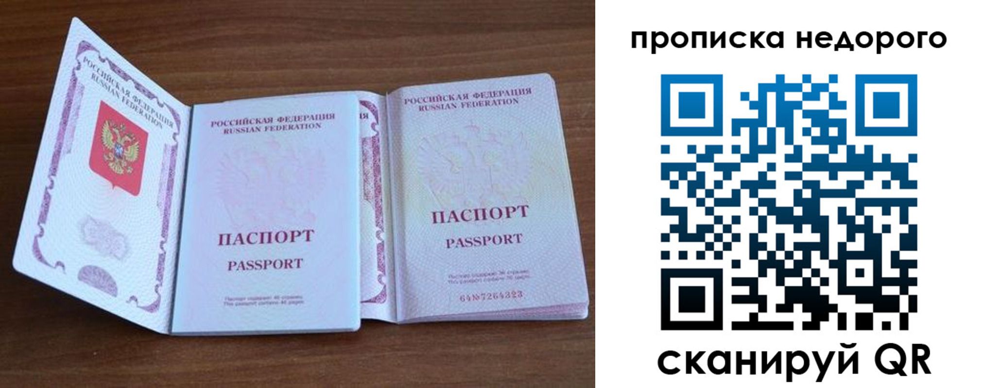 прописка поиск в Таганроге